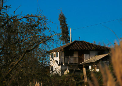Galería 1
